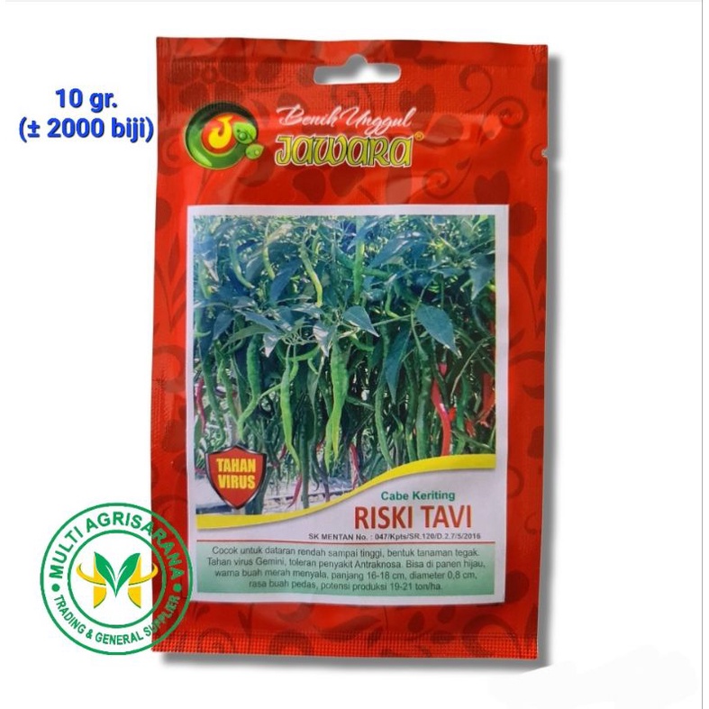 Isi 10 gr. Benih cabe merah keriting Tahan Virus RISKI TAVI bibit cabai keriting bersertifikat