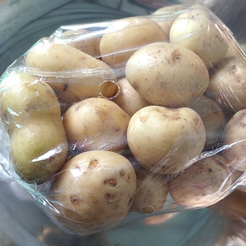 

Sayur Kentang mentah segar