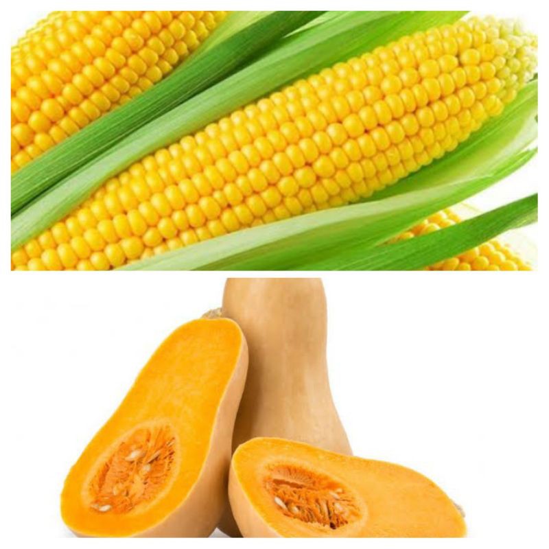 Jagung Labu Madu Satuan Shopee Indonesia Jagung Labu Madu Satuan Shopee Indonesia
