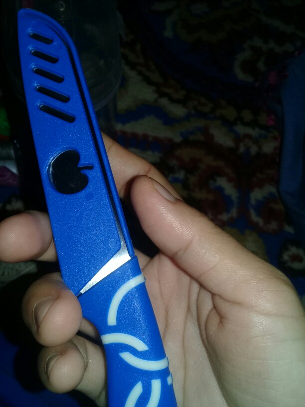 [bayar Di Tempat] Pisau Buah Dan Sayur Motif Apel Super Tajam Dapur Harga Termurah Kualitas Bagus