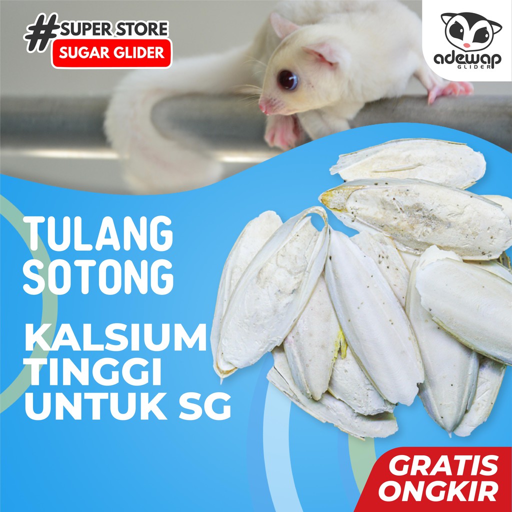 ADEWAP GLIDER Kalsium Tulang Sotong Kering Asinan Gigitan Sugar Glider