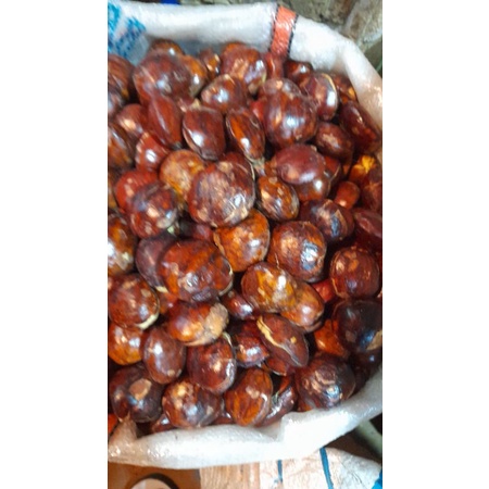 

JENGKOL SEGAR SUPER FRESS 1 KG