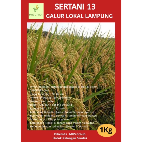 

Bibit padi benih padi unggul SERTANI 13 1kg