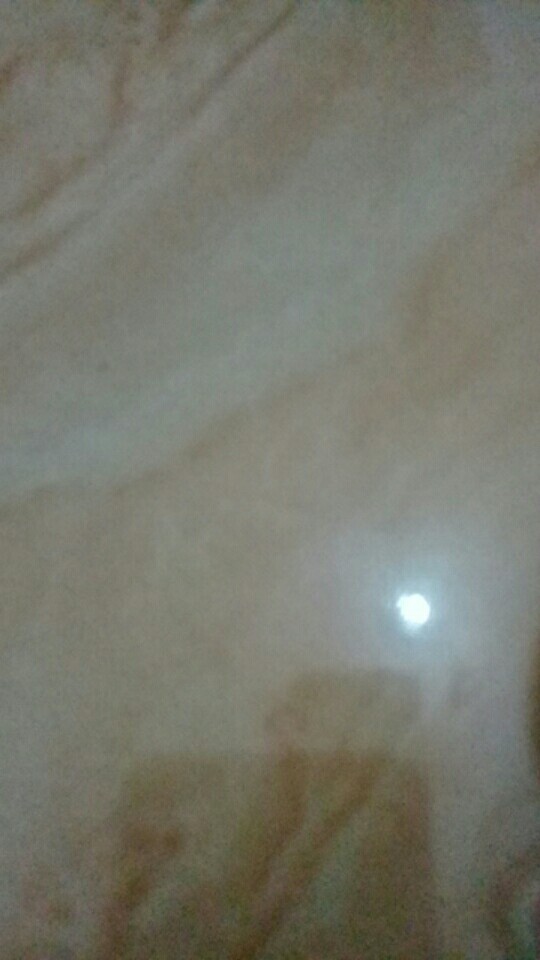 Kemeja Batik Garuda Eksklusif Reguler Premium Best Quality