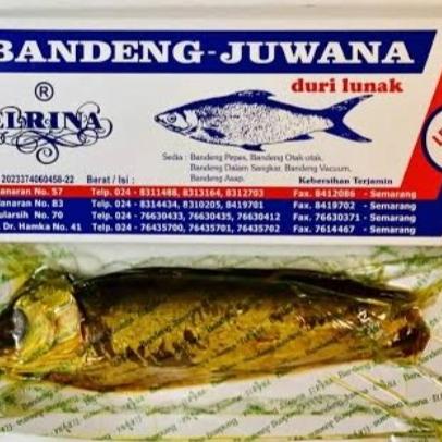 

Otak Otak Bandeng Elrina Berat 1 Kg