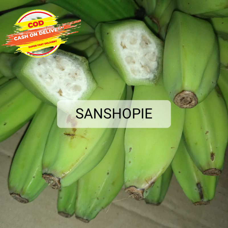 

Bahan Rujak Pisang Batu Muda Segar Paket Hemat 250 gram