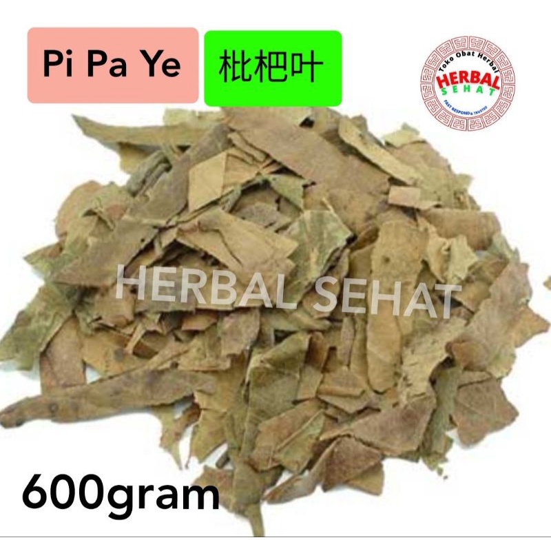 

600 gram - Pi Pa Ye Loquat Leaf Folium Eriobotryae Japonicae - PHI PHA JAP