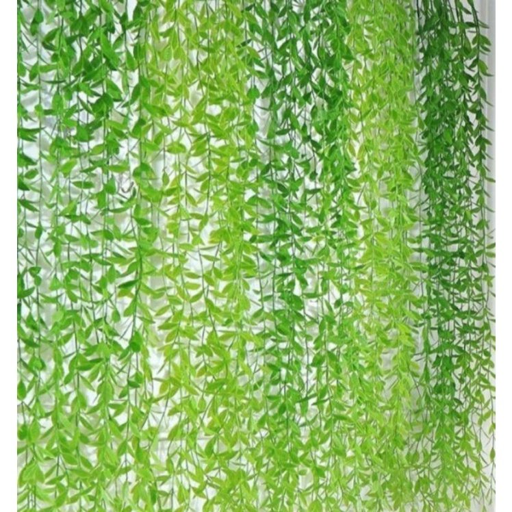 daun hias dekorasi daun lee kwan yew daun rambat plastik daun sulur hiasan pagar dinding tembok