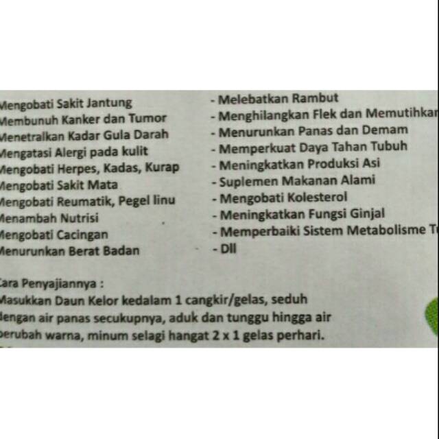 

Teh seduh curah dan teh celup daun kelor menyembuhkan kanker, renatik dll