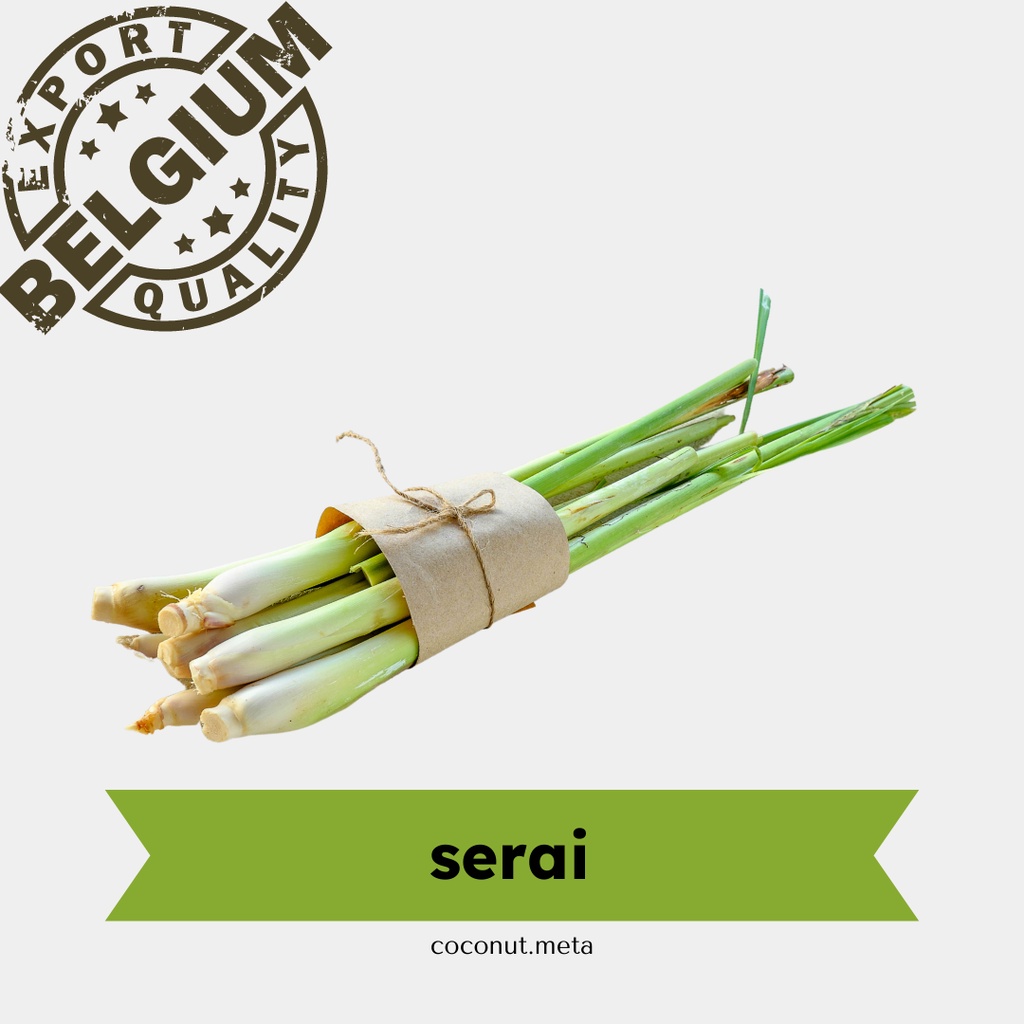 

Serai / Sereh / Lemongrass Premium by Coconut Meta