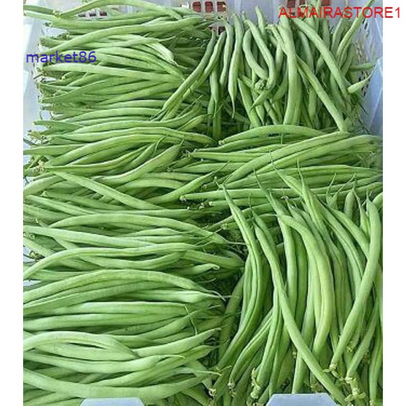 

Grosir Sayuran Segar Sayur FRESH Buncis 250 Gram - Market86