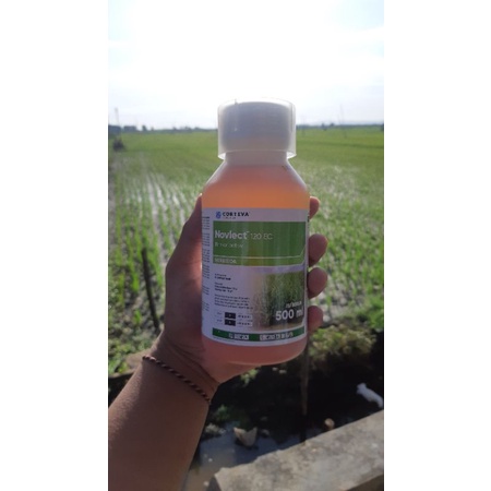 Herbisida NOVLECT 120EC By Corteva