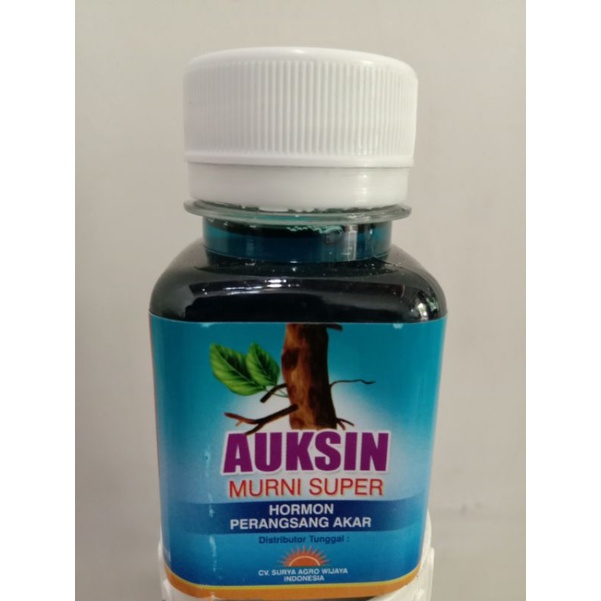 AUKSIN 60 ML
