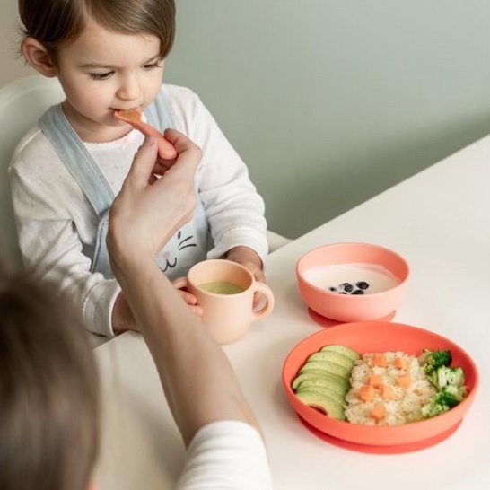 EKOBO Silicone Baby Meal Set | Peralatan Makan MPASI Set Makan Bayi Silicone With Suction