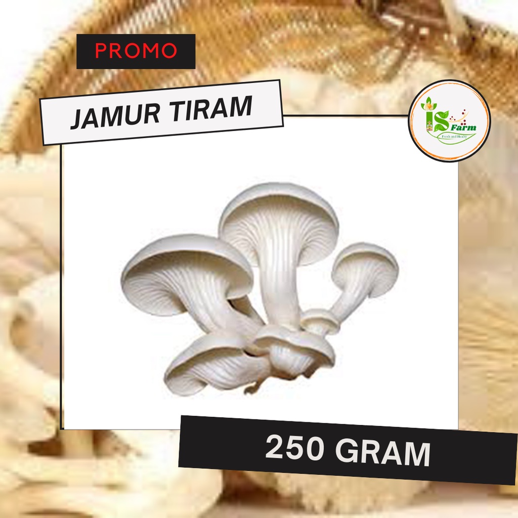 

Jamur Tiram 250 gram