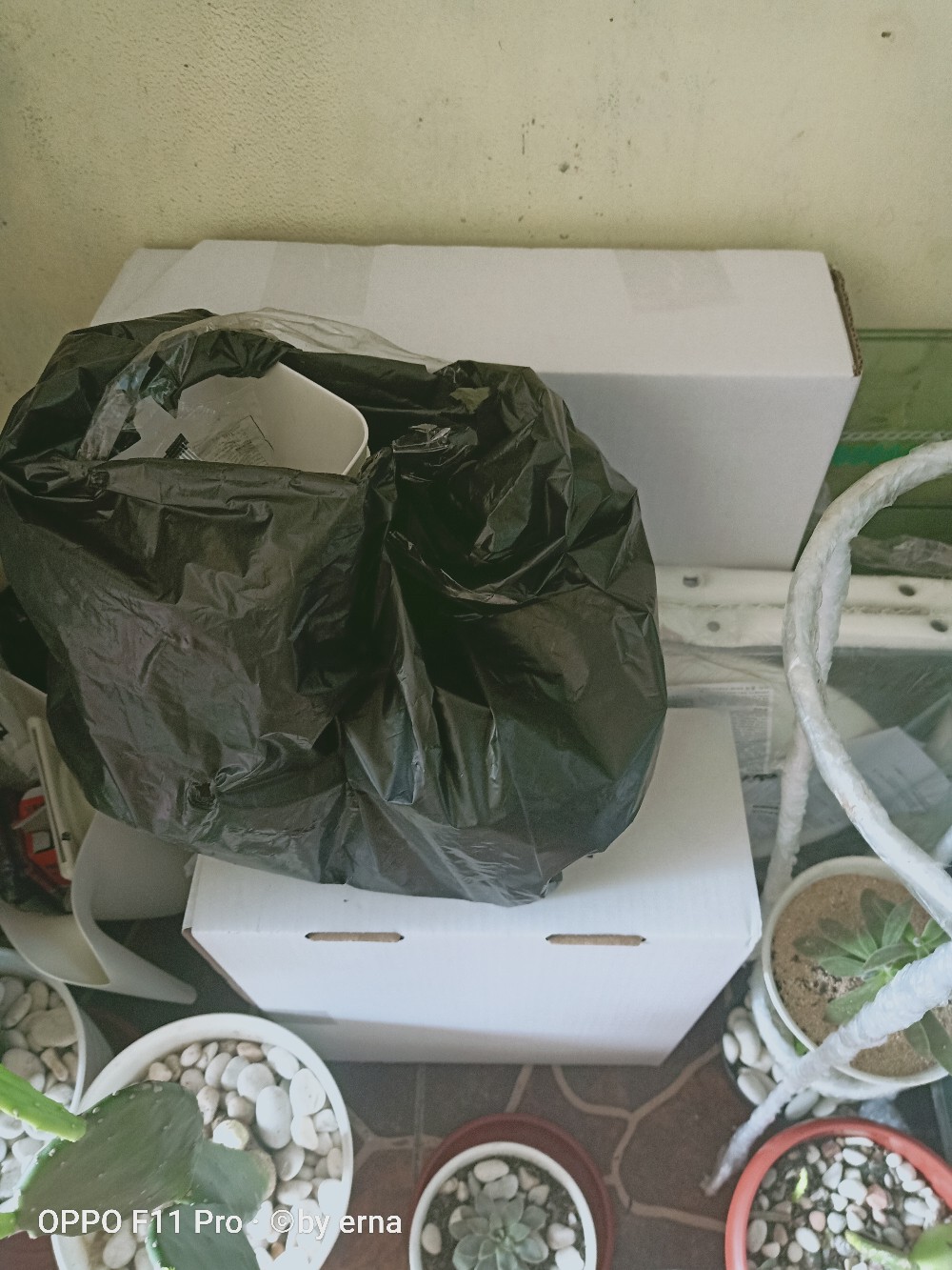 Paket Juntai Vernalya Priti+pot Dinding/bunga Plastik/daun Rambat Plastik/rumput Plastik/floral Foam