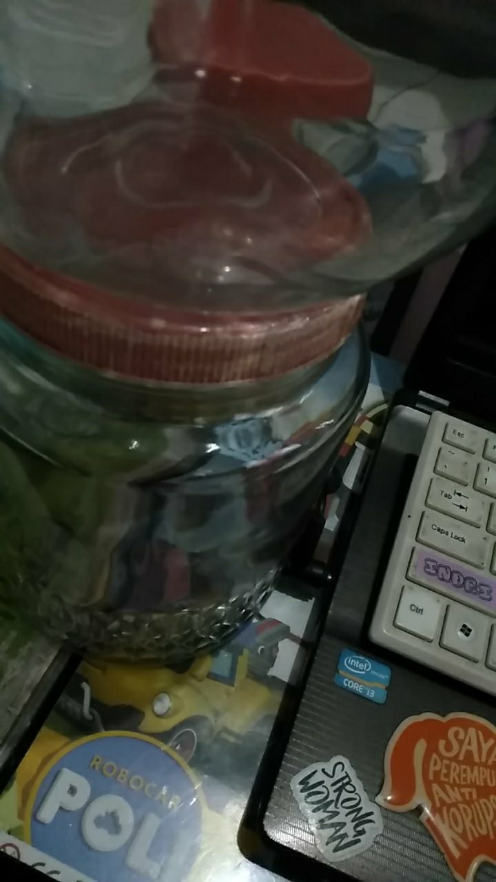 Frame Figura 8r (20x25) Tepi Motif Ukir