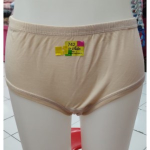 6 Pcs CD Sister 742 Jumbo Wanita Dewasa | Celana Dalam Sister | Celana Perempuan Jumbo | Sguna Setengah Lusinan
