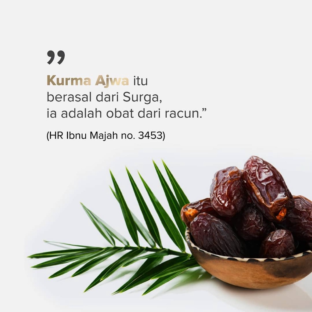 Kurma Ajwa Asli Madinah Kurma Nabi