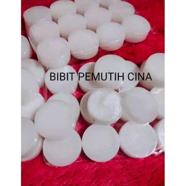 BIBIT PEMUTIH CINA ORIGINAL CEPAT PUTIH