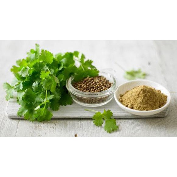 Murah Meriah Kak >>>> Benih Biji Bibit Coriander Calypso Ketumbar Import Uk/Inggris