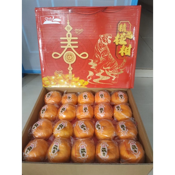 Jeruk Super Ponkam 1 Dus (Isi :40) Fresh Import