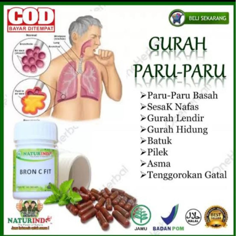 OBAT PARU PARU BRONKITIS TBC ASMA PNEUMONIA PALING AMPUH