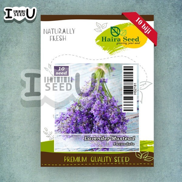 Bibit-Biji Bunga Lavender Mustead (Haira Seed)