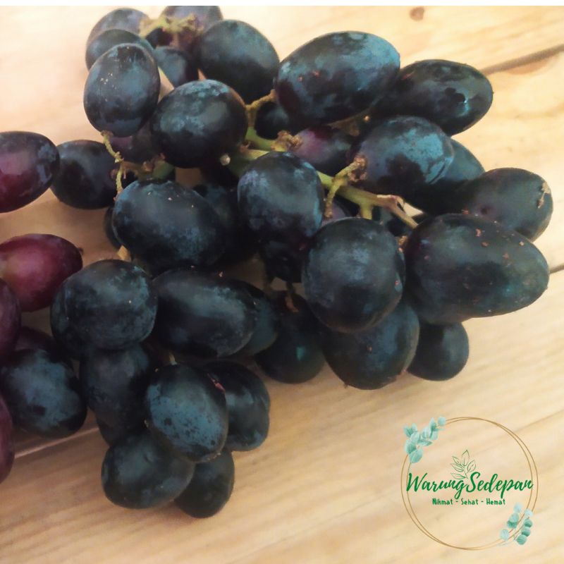 

Buah Anggur Hitam Anggur Black Autumn Seedless 500gr Seedless Grapes No Biji Anggur Segar Cikarang Buah Segar Bekasi