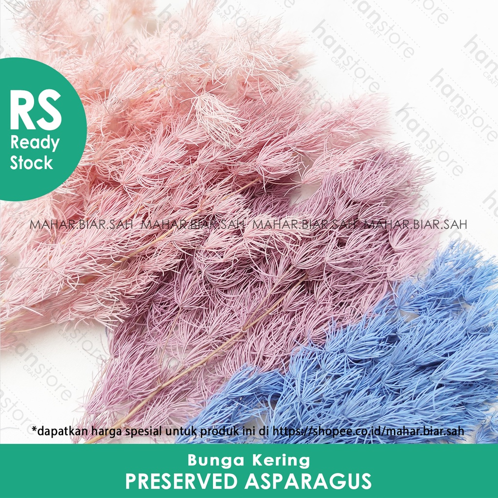 RS 5 Gram  Preserved Asparagus / Asparagus Bintang / Asparagus Umbellatus / Bunga Kering / Dried Flo