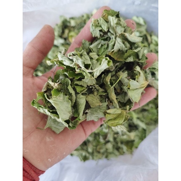 

TERMURAH TEH DAUN PEGAGAN MURNI DAUN TANPA BATANG ASLI DAUN PEGAGAN