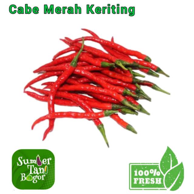 

CABE MERAH KERITING - PER 1 KG