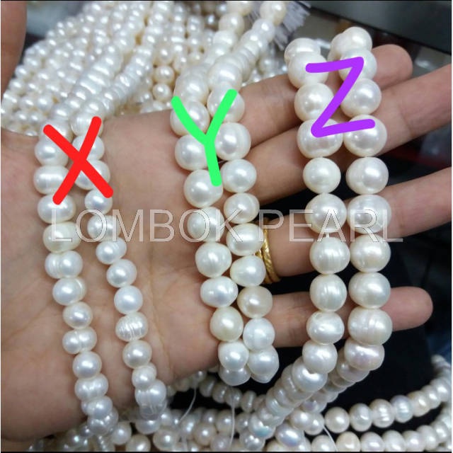 Kode Y = RENTENGAN MUTIARA AIR TAWAR DARI LOMBOK