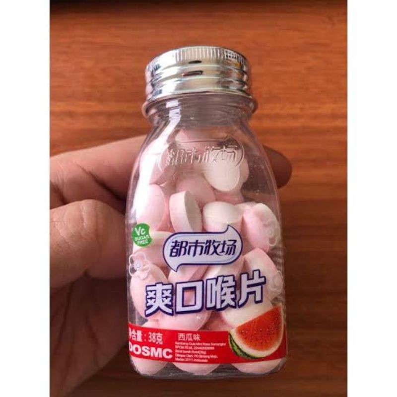 

XINLE CANDY WATERMELON 38 GR