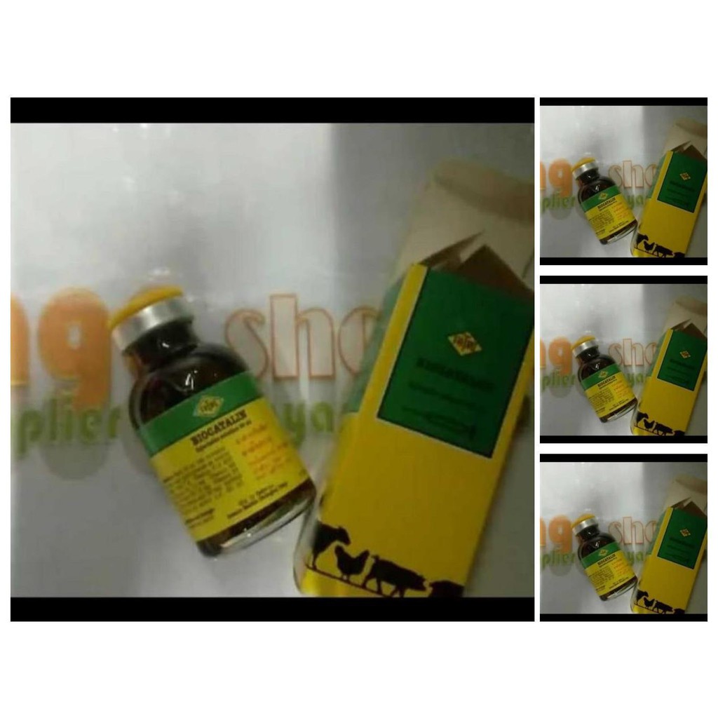 biocatalin 100ml vitamin suplemen ayam tarung burung sehat