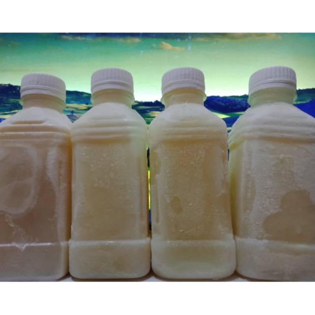 

Susu kambing etawa murni