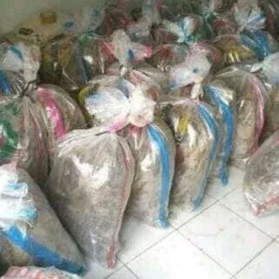 ✵ Jangkrik Hidup Hasil Ternak Karungan 1 Kg - Jangkrik Alam ۝