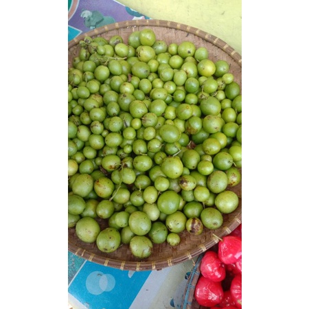 

gandaria