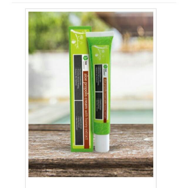 Hempas Jerawat Luka Tanpa Bekas Hdi Aloe Propolis Cream With Honey Extract Shopee Indonesia