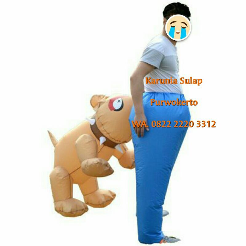 KOSTUM DI GIGIT ANJING