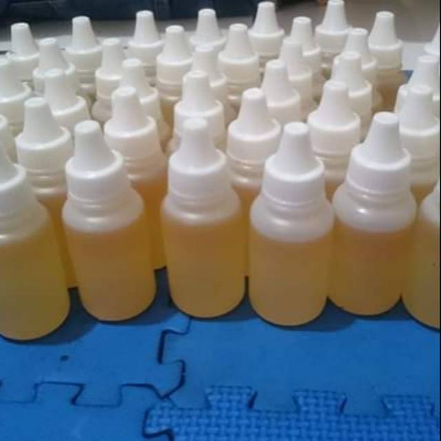 essen micro cacing asli