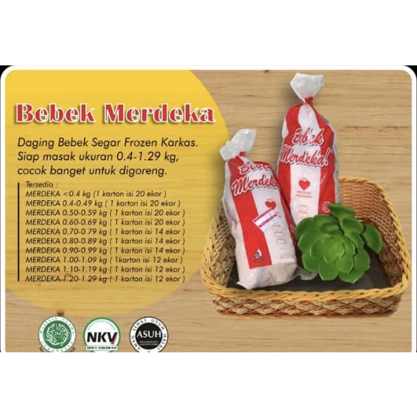 

Merdeka Duck