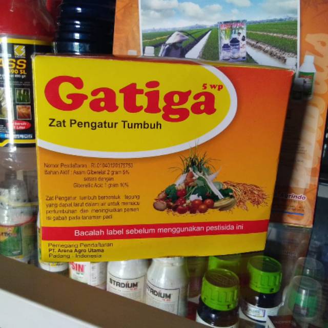 Gatiga 5 WP Zat Pengatur Tumbuh