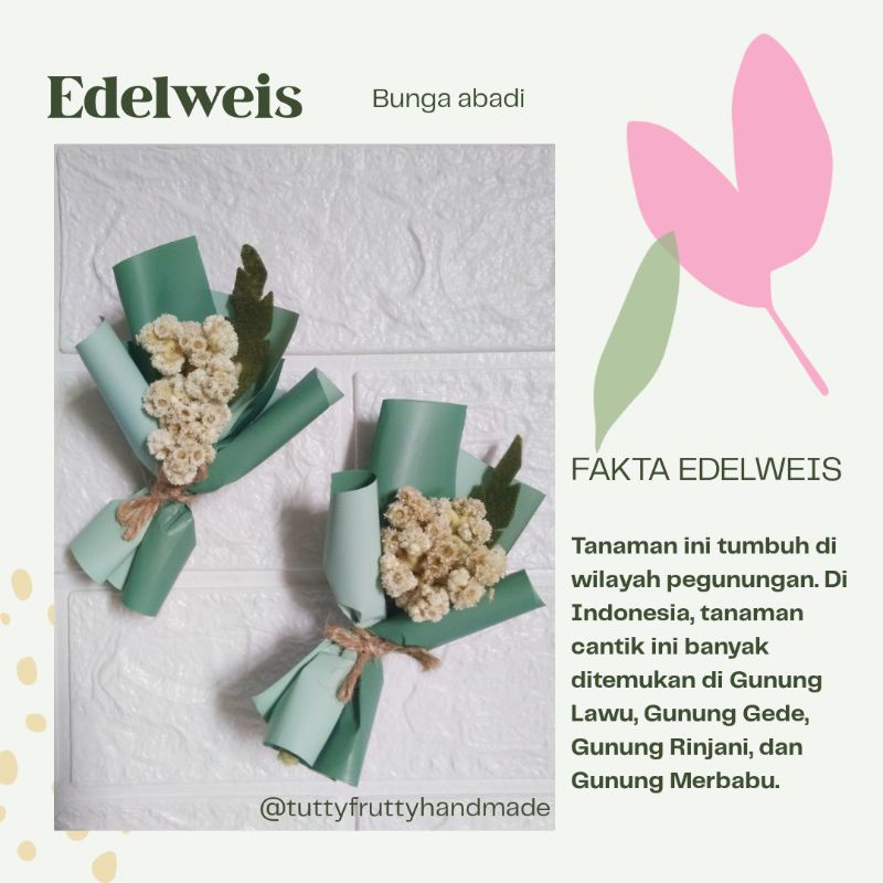 [Ready Stock] Buket mini edelweis kering