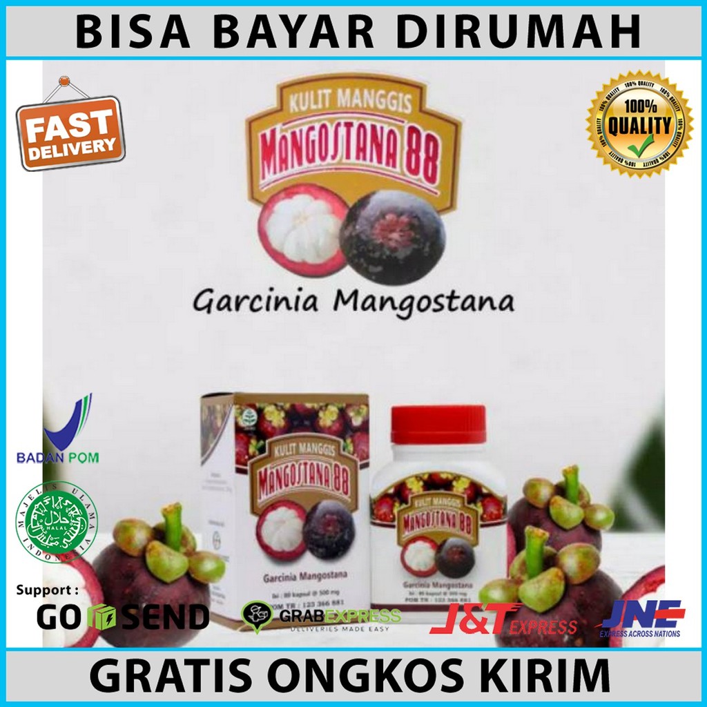 

obat kolesterol darah tinggi terbaik / herbal asam urat / kapsul Kulit Manggis Mangostana/alby_herba
