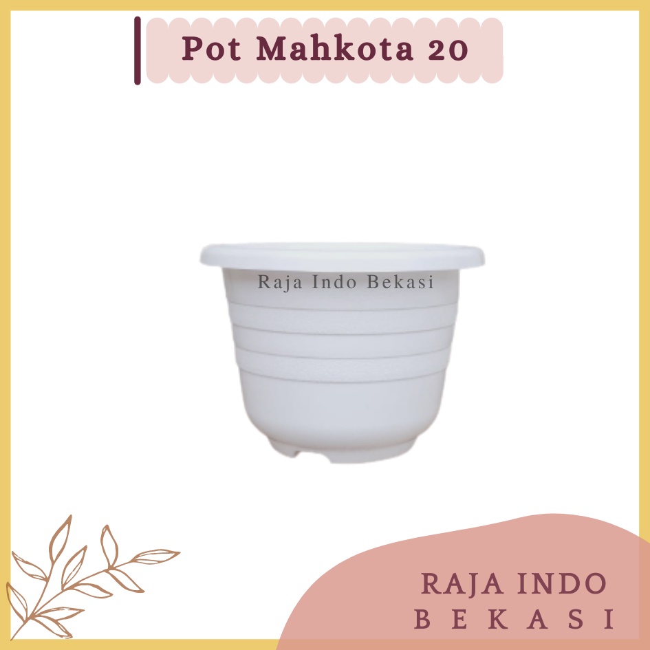 Pot Mahkota 20 Cm Putih - Bunga Tanaman Bibit - Bukan Pot Glory Putih Ukuran Mirip Tawon 21 Cm