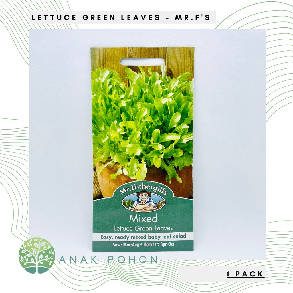 ( 1 PACK ) Benih Mixed Lettuce Green Leaves - Mr. Fothergills - 1000 biji