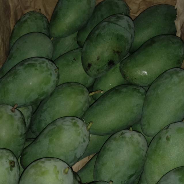 

mangga manalagi