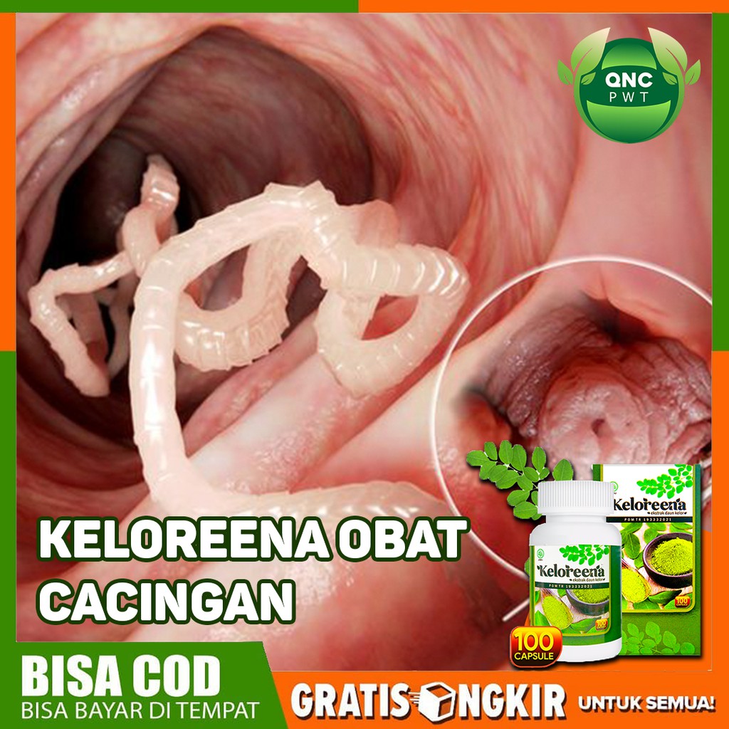 Obat Cacingan Cacing Kremi Cacing Pita Anak Dan Dewasa Keloreena Kapsul 100 Di Solo Bisa Cod Shopee Indonesia