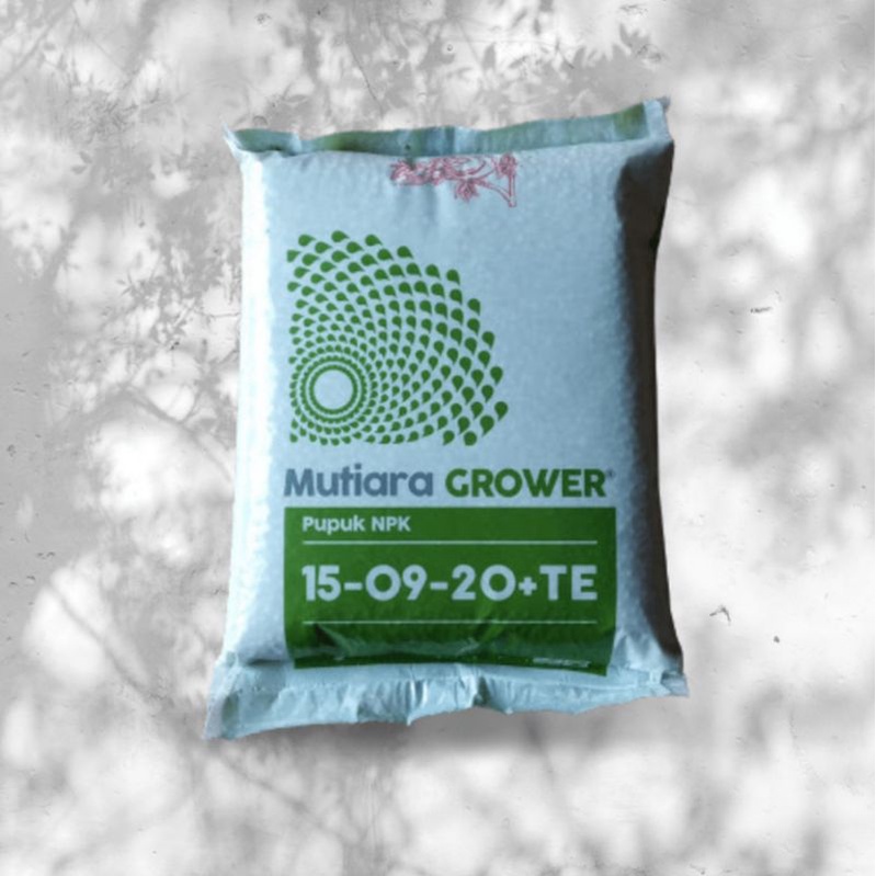 PUPUK MUTIARA GROWER/PEMBESAR BUAH